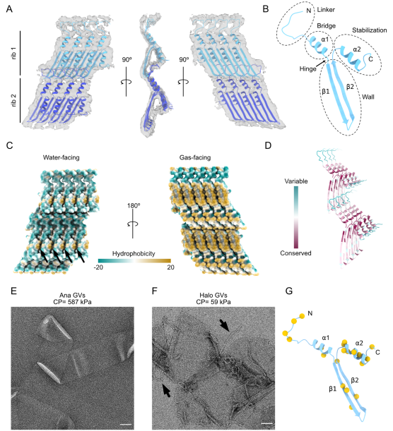 Jensen Lab tweet media