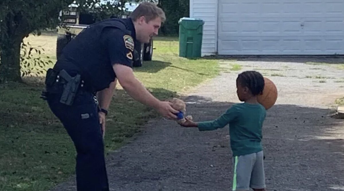 Cody Alcorn tweet media