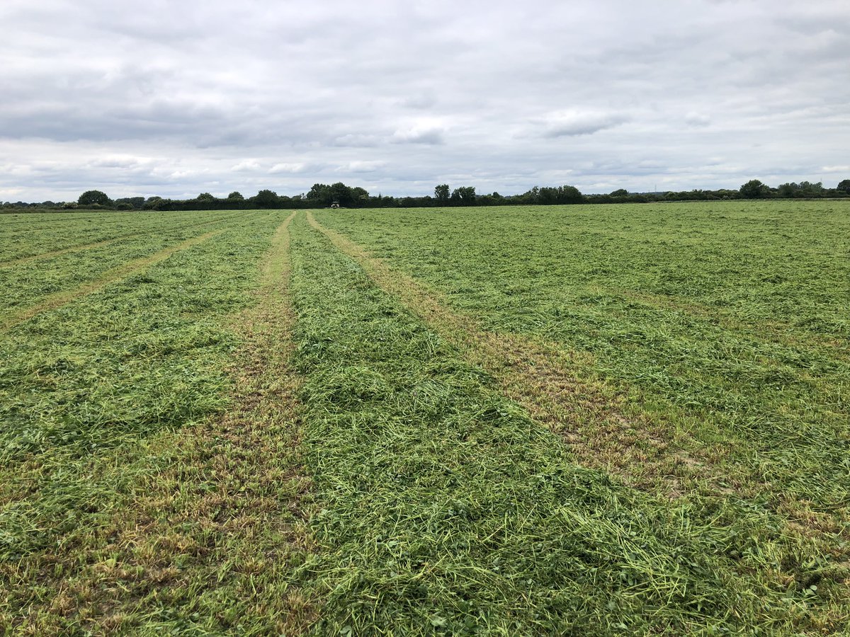 UCD Lyons Farm tweet media