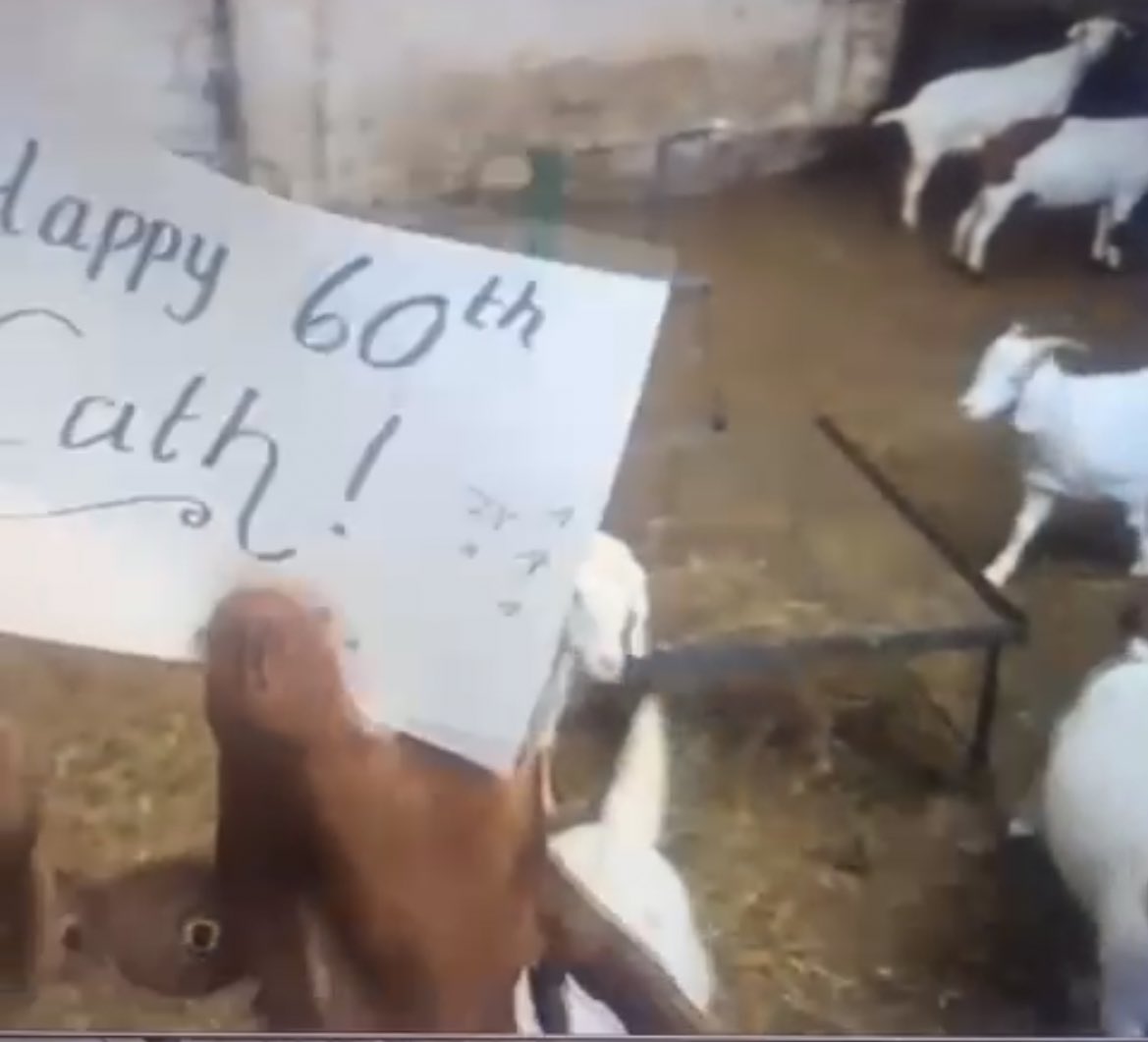 We couldn’t celebrate the wonderful <a href="/ChisholmCath/">Chis💞 #nhs #patients #bekind #peoplewant</a> birthday yesterday as she was off but today we had a visit from some lovely Goats with a very special message for her 🎂 
<a href="/eunderwooduhn/">Evie Underwood</a> @SharonH23894511 @jakeharrisonkgh <a href="/QIAgiKiraly/">Agnes Kiraly</a> <a href="/becky_taylor__/">Becky Taylor</a>