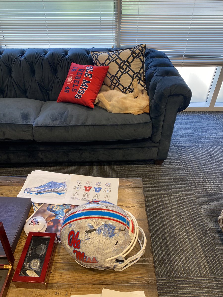 JuiceKiffin's tweet photo. Dreaming of dingers https://t.co/JMZ7IDZ3wn
