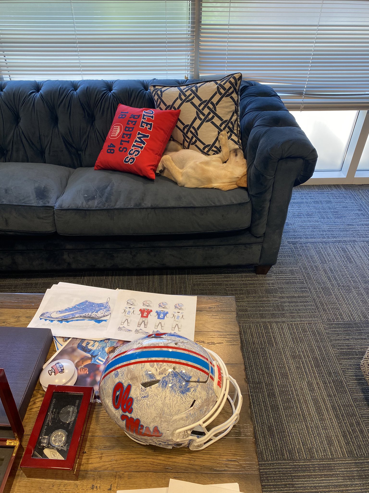 Juice Kiffin on Twitter "Dreaming of dingers https//t.co/JMZ7IDZ3wn