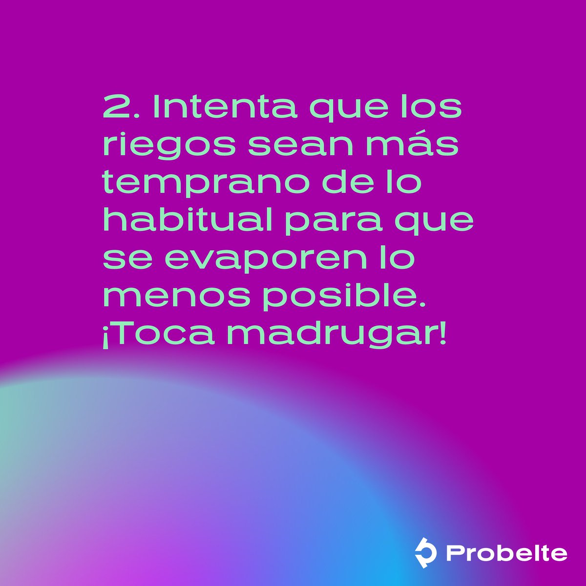 Probelte tweet media