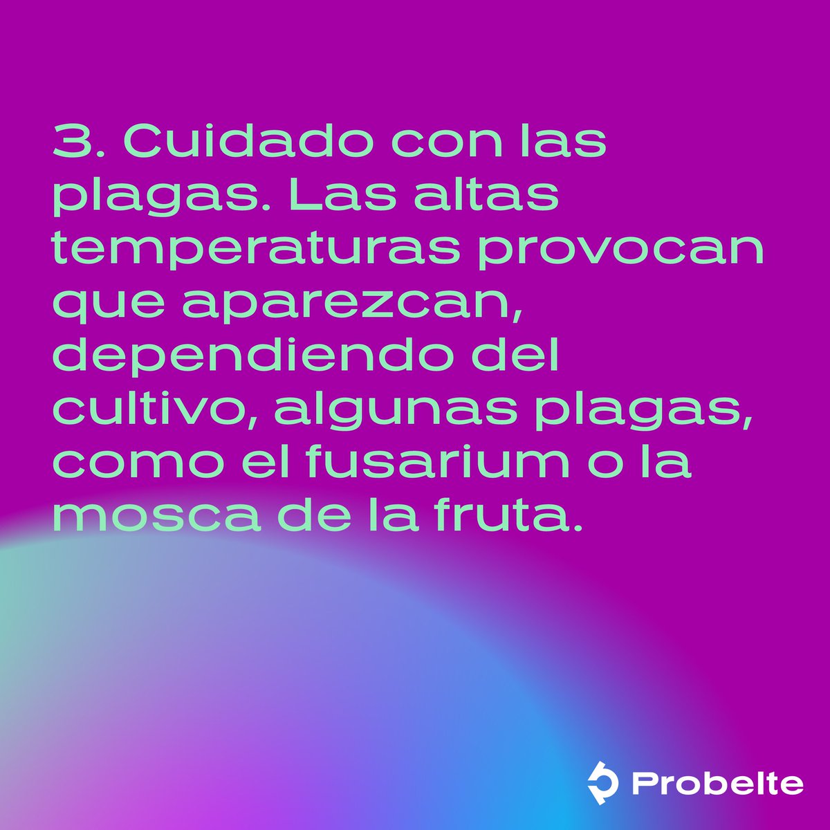 Siguiendo estos tres consejos, tu cultivo se mantendrá sano durante todo el verano. 💪

¡Te deseamos que pases un feliz verano!

#Probelte #sanidadvegetal #sectoragricola #agricultura #cultivos #fromsoiltohealth #innovación #biotecnologia