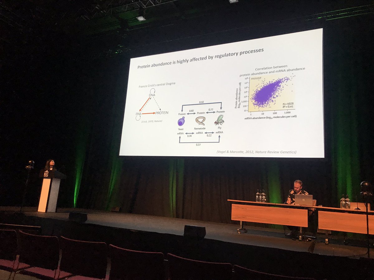 Frederica Theodoulou (@freddietheodou1) on Twitter photo Last but not least in the #ICAR2022 dynamic proteome session, <a href="/zimingzzz/">Ziming</a> presents our collaborative project “What controls protein abundance in plants?” <a href="/RichardMott7/">Richard Mott</a> <a href="/lilley_ks/">Kathryn Lilley</a> <a href="/Mark_Bail/">Mark Bailey</a> <a href="/accept_kim/">Yong-In Kim</a> <a href="/KeywanHP/">Keywan Hassani-Pak</a> <a href="/ganchoslavov/">Gancho Slavov</a> <a href="/brionyjane62/">Briony J Parker</a> Last but not least in the #ICAR2022 dynamic proteome session, <a href="/zimingzzz/">Ziming</a> presents our collaborative project “What controls protein abundance in plants?” <a href="/RichardMott7/">Richard Mott</a> <a href="/lilley_ks/">Kathryn Lilley</a> <a href="/Mark_Bail/">Mark Bailey</a> <a href="/accept_kim/">Yong-In Kim</a> <a href="/KeywanHP/">Keywan Hassani-Pak</a> <a href="/ganchoslavov/">Gancho Slavov</a> <a href="/brionyjane62/">Briony J Parker</a>