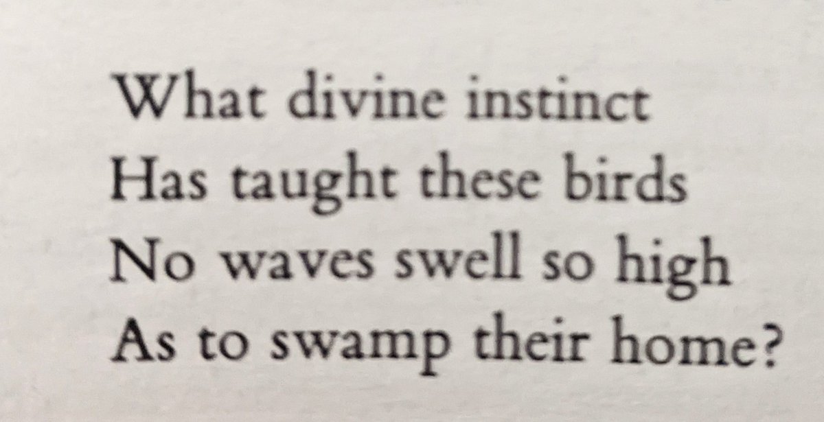 InternetWiseman's tweet photo. #Bashō https://t.co/0BtM5d3yBM