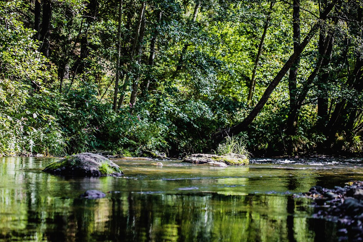 RecFishingEP's tweet photo. The @EU_Commission proposal for #NatureRestoration law has finally be released.
A crucial initiative to protect #fishstocks🐡by restoring #rivers and #marine habitats ! 🌊
We'll keep a close eye🧐on @EP_Fisheries & @EP_Environment 's work for an ambitious text to #saveEUfish. https://t.co/KLjF3yz3nm