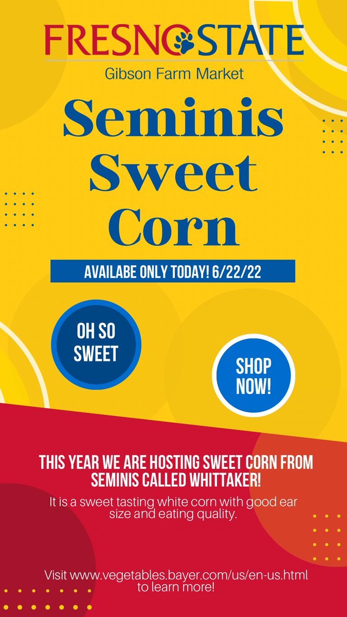 The first 100 people who come into the Gibson Farm Market today 6/22/2022 you will receive a free bag with the chance to purchase our hosted Seminis Sweet Corn! Hurry on by while supplies last as it will be available today only! 🤩🌽👏🏻