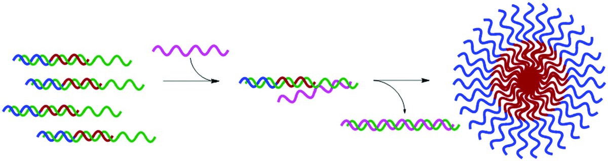 rsc_chembio's tweet photo. 🔥 New advance article for RSC Chemical Biology! 🔥 @jenheemstra et al with a new method for controlled stimuli-responsive assembly of #peptide #nucleicacid -based nanostructures! #chembio

🧐Read the #OpenAccess article 👉https://t.co/hrIO50HoGs https://t.co/SNpRB6iD4v