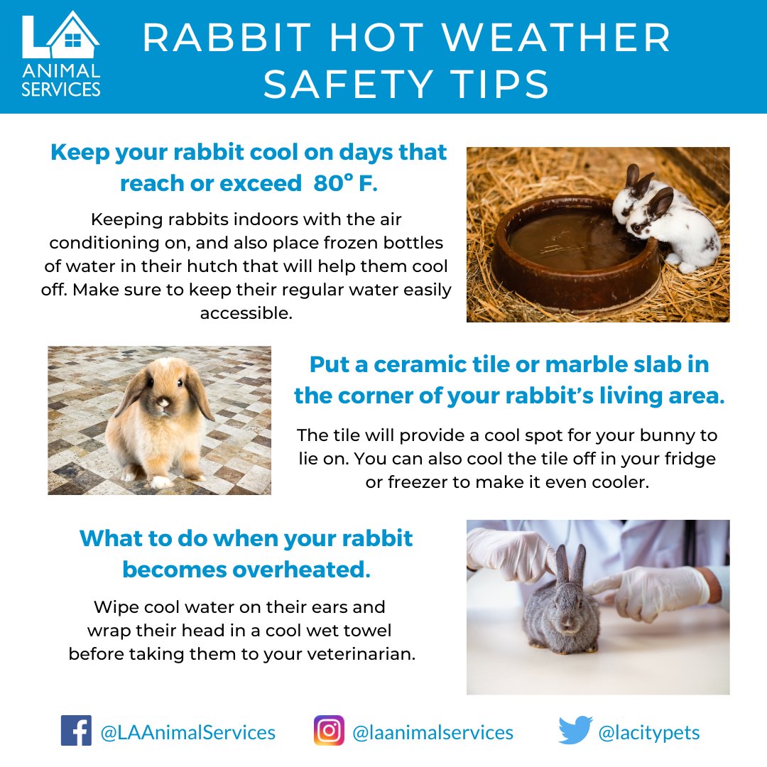 When it's hot outside for you, it is even hotter for your furry friends. Too much heat can be extremely dangerous or even fatal for companion animals. We'd like to remind pet owners about the hazards of hot weather &amp; how to keep your furry ones safe and cool! ☀️ #petsafety