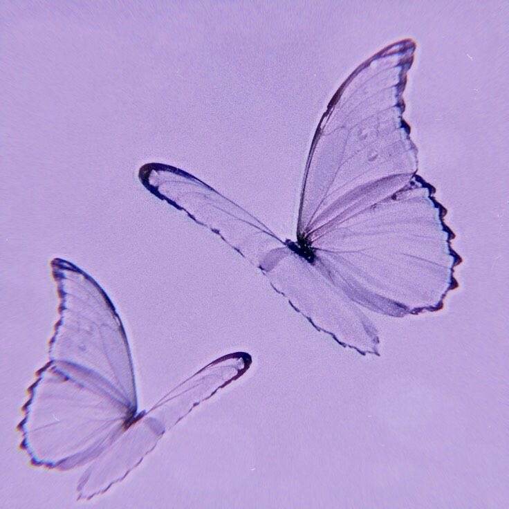 ꧁༒☬𝓤𝓻𝓦𝓲𝓿𝓮☬༒꧂ (Small Break will be back Soon) tweet media