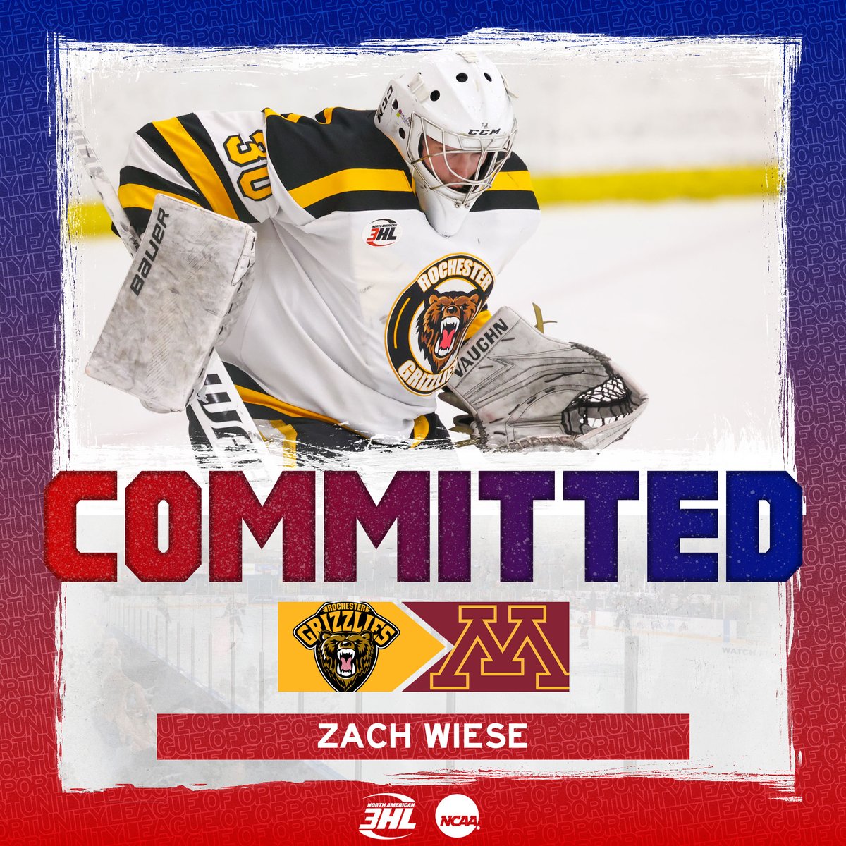 NA3HL's tweet photo. #NA3HL Commitment Alert: @RochesterGrizz goaltender Zach Wiese has committed to play NCAA Division I @collegehockey for @GopherHockey in @B1GHockey #StepAbovetheRest https://t.co/CltpUwFKkO https://t.co/kI2aRKdg1z