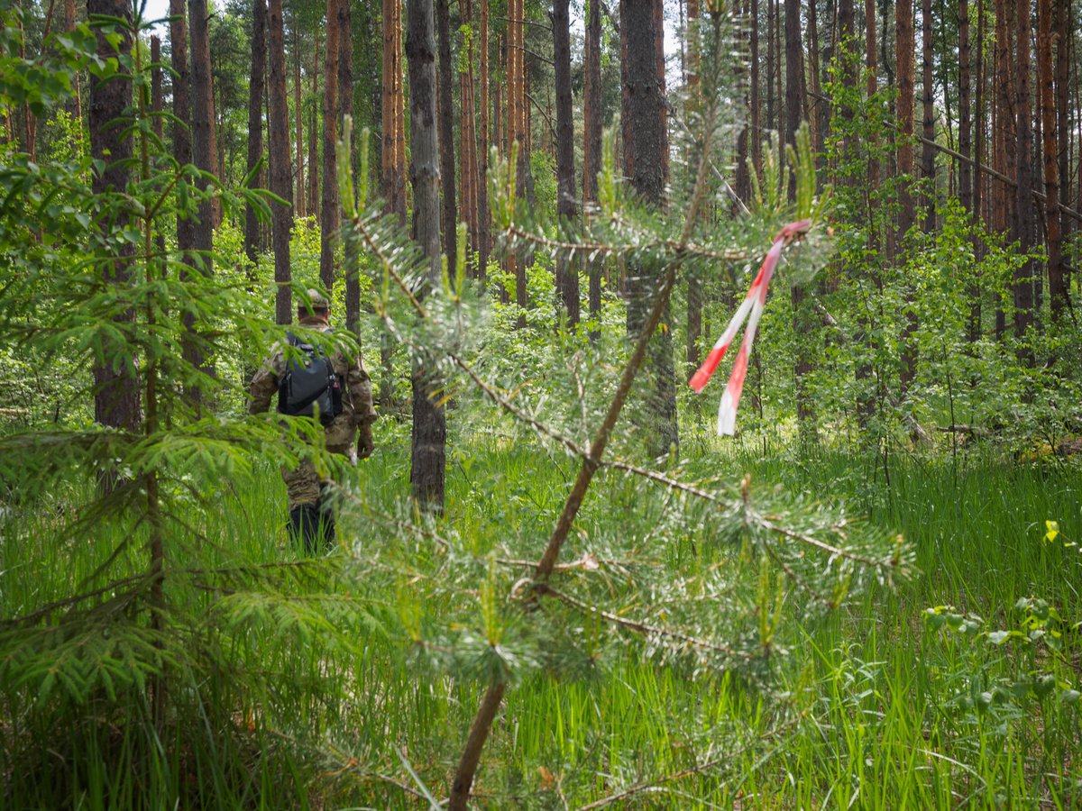 Веснушка tweet media