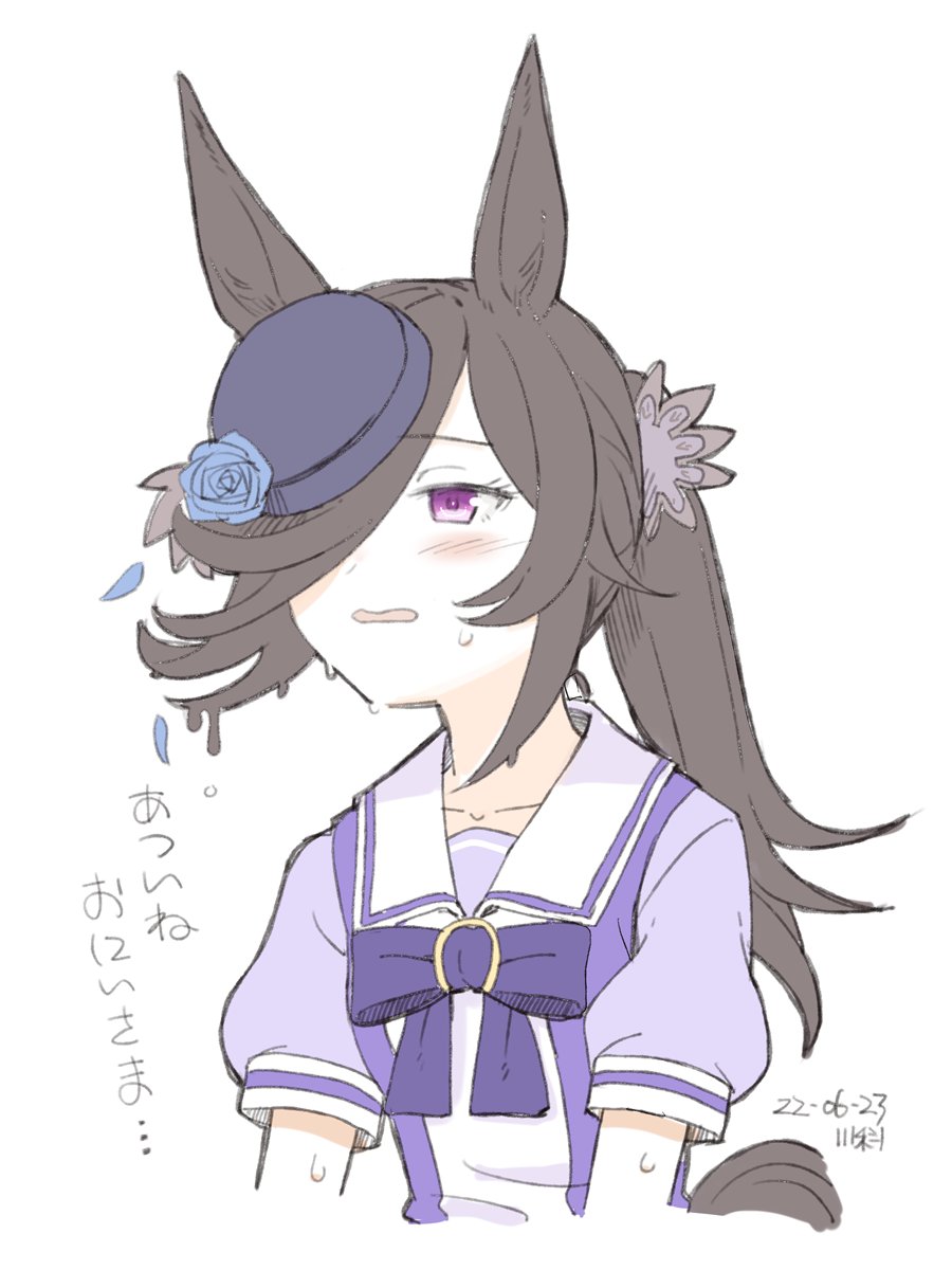 rice shower (umamusume) 1girl horse ears solo animal ears tracen school uniform hat purple shirt  illustration images