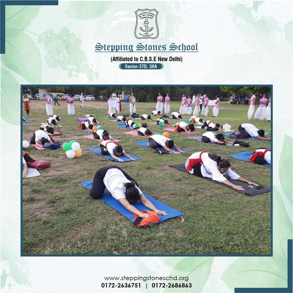 stones_school's tweet photo. Yoga can be very peaceful and relaxing. Yoga can be a powerful tool to help people deal with stress anxiety, while also improving overall physical well-being. 

#YogaEvent #AKAM #InternationalDayofYoga #YogaDay #HealthyLifestyle #Steppingstones #Bestschool #CBSEschool #Chandigarh https://t.co/wGIHkNPsYR