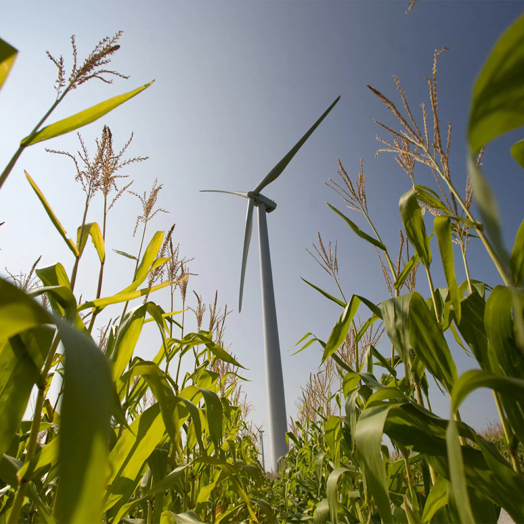 Quand le développement durable devient rentable

À lire : bit.ly/3bl57JB

Entrevue avec M. Jean-Sébastien Trudel, conseiller aux entreprises – développement durable et technologies propres à la <a href="/CCILaval/">CCILaval</a> 

#ecologie #consommationresponsable #developpementdurable #Quebec