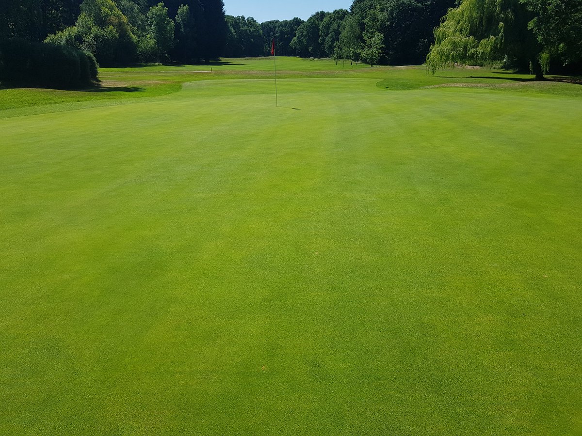 <a href="/LangleyParkGC/">Langley Park GC</a> looking absolutely stunning this morning.  Huge credit to Wayne and his team, doing a great job.  <a href="/PlantFoodCo/">Plant Food Company</a> playing their part as well, also Crystal Bluelinks from <a href="/T2GBentgrass/">Tee-2-Green</a> loving life.