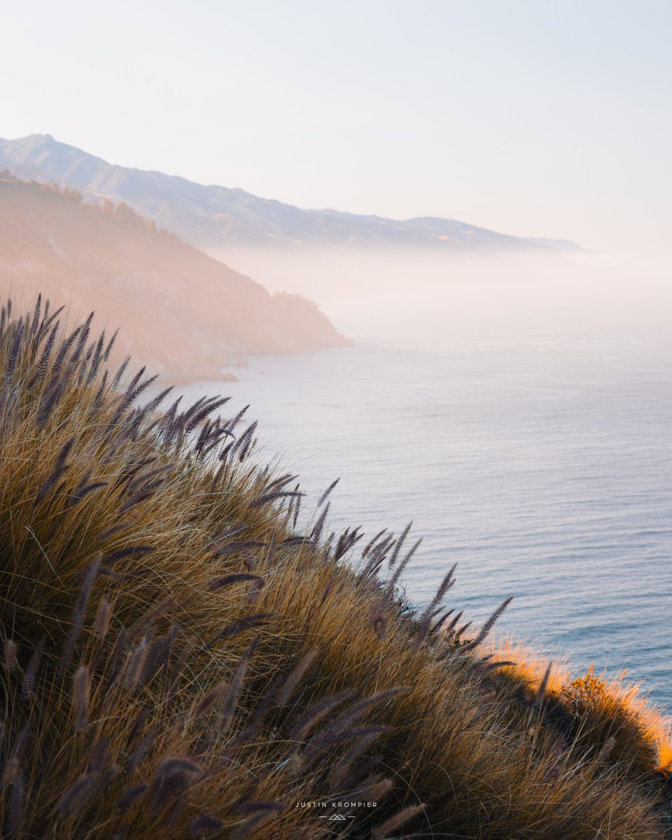 Gm NFT fam. A photograph I took in Big Sur last week. 🌊
