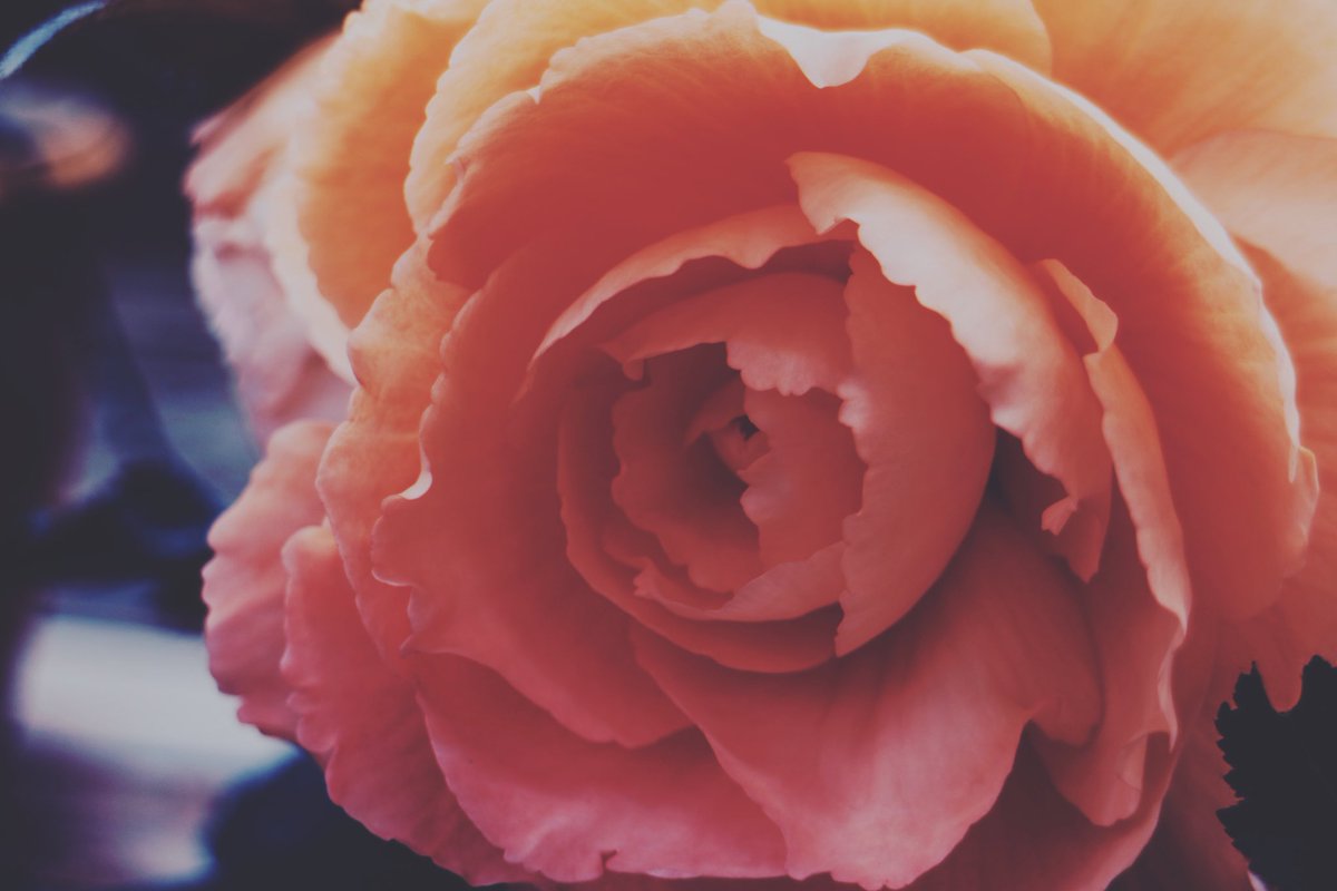 Eosm3 Twitter Search Twitter