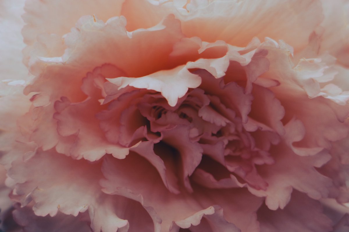 Eosm3 Twitter Search Twitter