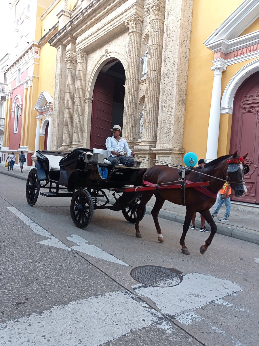 #cartagenadeindias