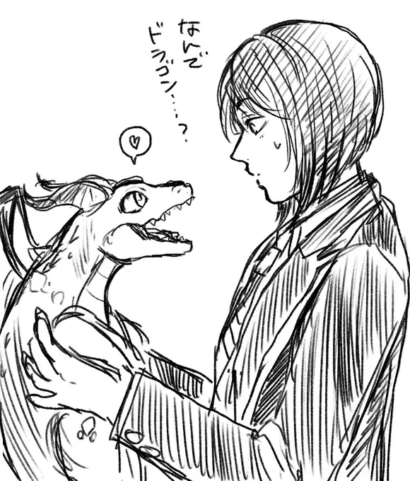 朝玄関開けたら、知らん仔ドラゴンがおった 