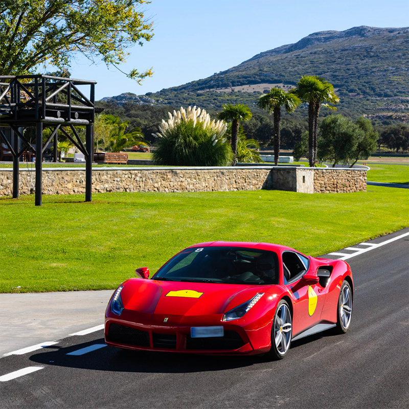 Ferrari's tweet photo. Enjoy the luxury and experience the adrenaline of the open road with the #FerrariGTTour, designed to allow Ferraristi to share unique moments in wonderful locations. From the 1st to the 3rd of July, the Tour will be exploring the countryside of Austria! Find out more.
#Ferrari