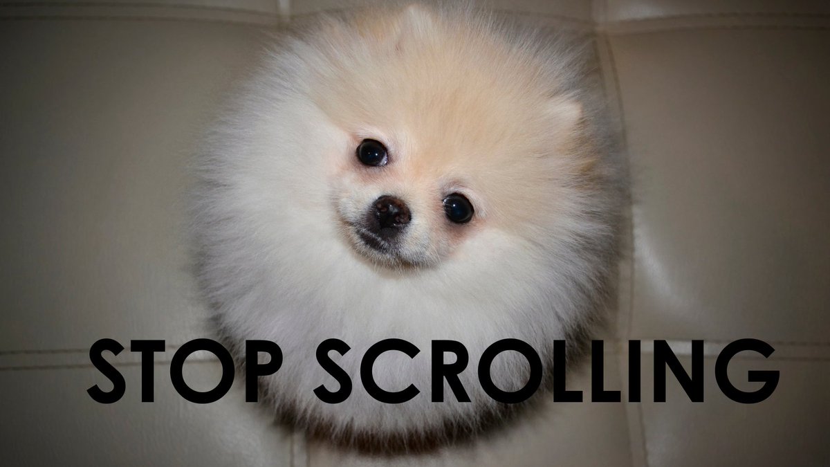 #StopScrolling ✋ your dream job is just clicks away! Create your cnect profile now: candidate.cnect.jobs/#/registration…