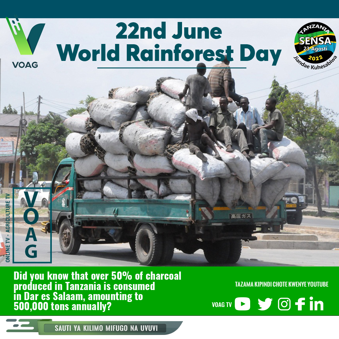 voag_tv's tweet photo. Did you know that over 50% of charcoal produced in Tanzania is consumed in Dar es Salaam, amounting to 500,000 tons annually? @tzagriculture #maliasili
@HusseinBashe @AnthonyMavunde #forest @rainforrestday #misitu #mazingira #environment https://t.co/IuXzicWrbo