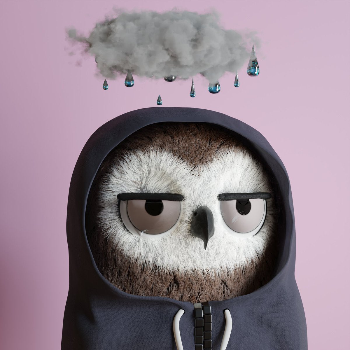 arjana22's tweet photo. @Bird_3D love hoodie birds so much!!! https://t.co/wYut8dKQNv