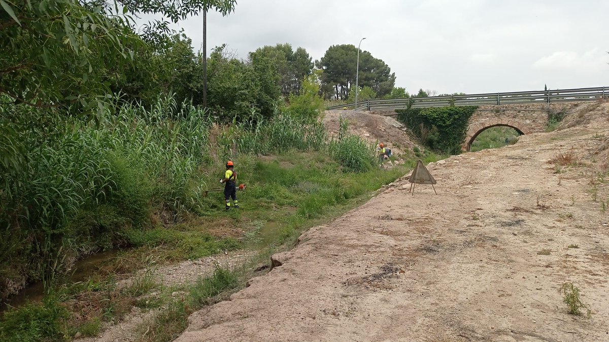 auroracet's tweet photo. 🏞️ Actualment i fins setembre, realitzant el control d'espècies invasores a l’entorn del torrent dels #Garidells i fent el manteniment de les més de 500 plantes autòctones de ribera que hi vam plantar.
#AssociacióAurora @Dipta_cat #DiptaSuma #MésSostenibilitat #custòdiafluvial https://t.co/yz3G6PkSYK