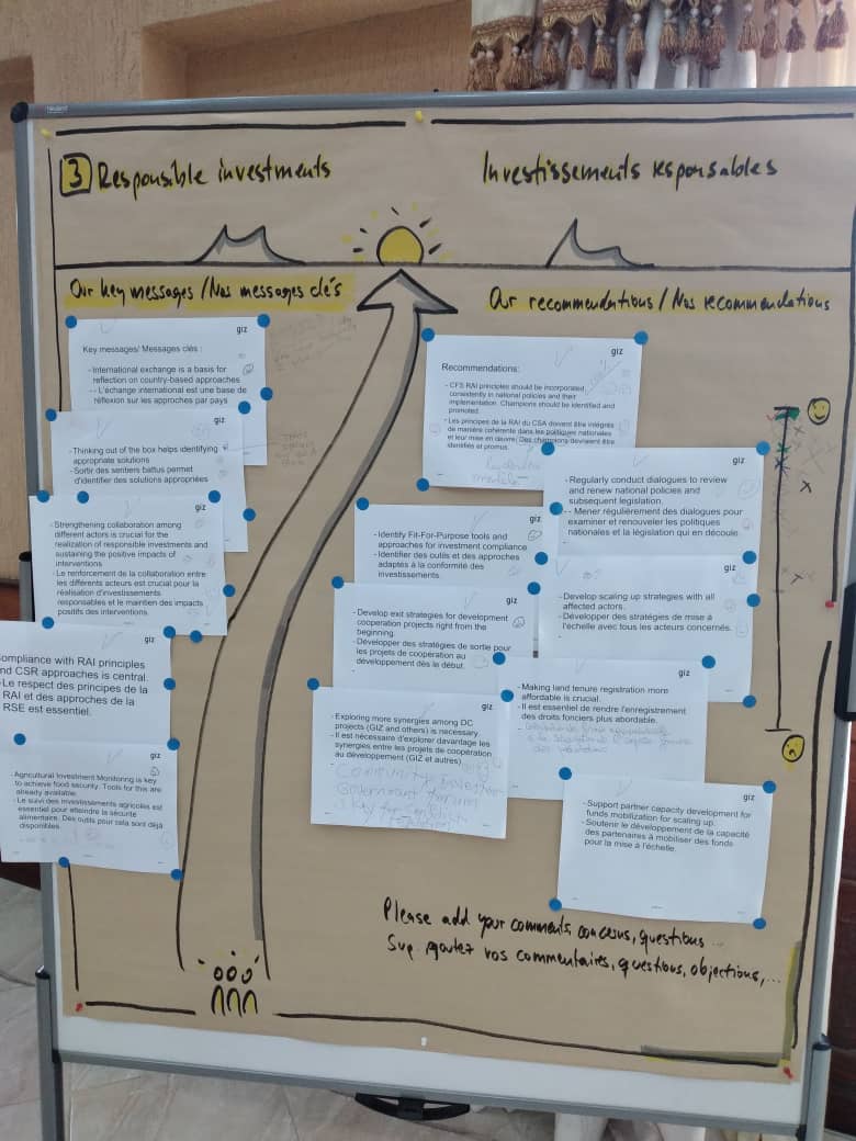 NELGA_AU's tweet photo. All thematic sessions came up with key messages and recommendations on the way forward on secure land rights. #LandKnowledge #KEW2022 https://t.co/QRAAsCXot2