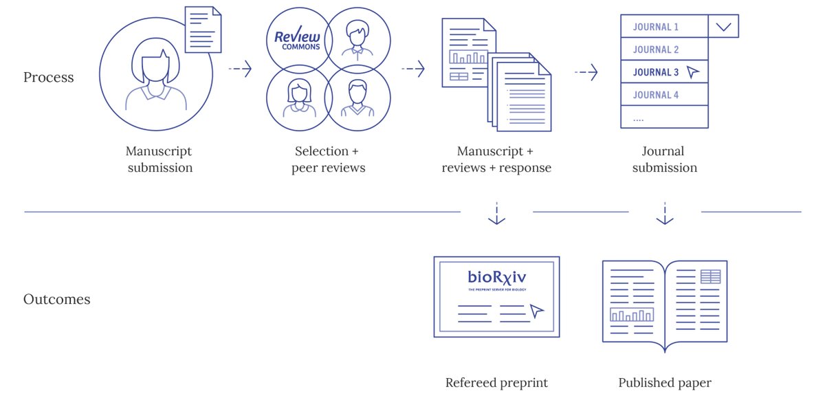 Review Commons is a platform for #RefereedPreprints which can be posted to <a href="/bioRxiv/">biorxiv</a> or <a href="/medrxivpreprint/">medRxiv</a>  and directly submitted to 17 affiliate journals from <a href="/EMBOPress/">EMBO Press</a> <a href="/eLife/">eLife - the journal</a> <a href="/ASCB/">Abi Corbett Burns</a> <a href="/Co_Biologists/">The Company of Biologists</a> <a href="/RockefellerUniv/">Rockefeller University</a>  &amp; <a href="/PLOS/">PLOS</a> .

reviewcommons.org/about/