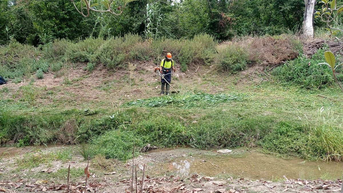 auroracet's tweet photo. 🏞️ Actualment i fins setembre, realitzant el control d'espècies invasores a l’entorn del torrent dels #Garidells i fent el manteniment de les més de 500 plantes autòctones de ribera que hi vam plantar.
#AssociacióAurora @Dipta_cat #DiptaSuma #MésSostenibilitat #custòdiafluvial https://t.co/yz3G6PkSYK