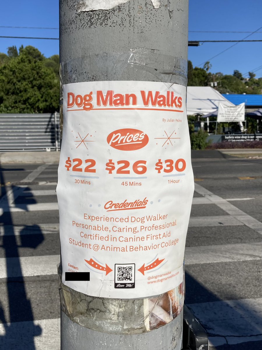 Dog Man Walks