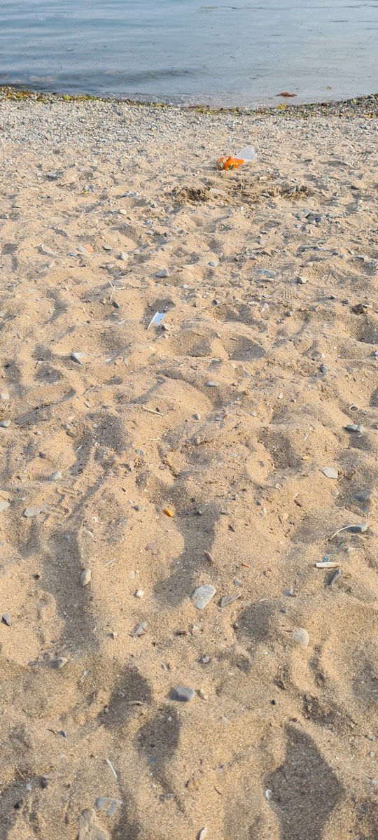 Bostanci sahilini hiç bu kadar kirli görmemiştim korkunç vaziyette yerde envai çeşit çöp var <a href="/kadikoybelediye/">Kadıköy Belediyesi</a> ne zaman temizlemeyi dusunuyorsunuz