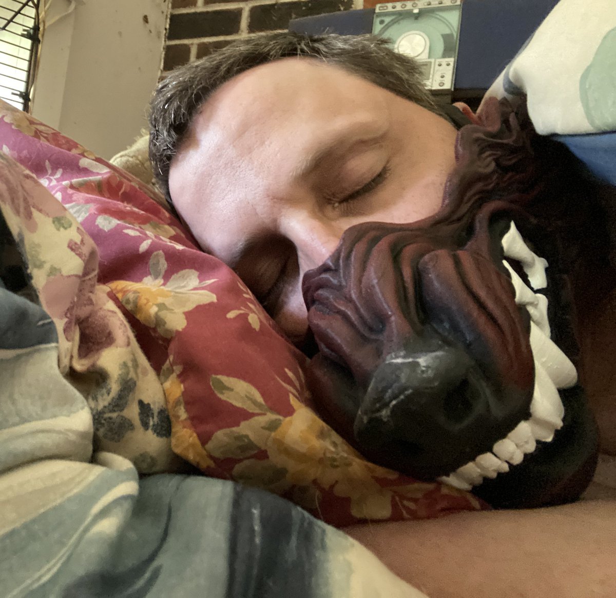 TheMexyWolf's tweet photo. When you donโt feel well, and want to sleep. But have bad #SpeciesDysphoria #Therian #WolfMask #Werewolf #SleepingWolf https://t.co/9YtiTtp7kl