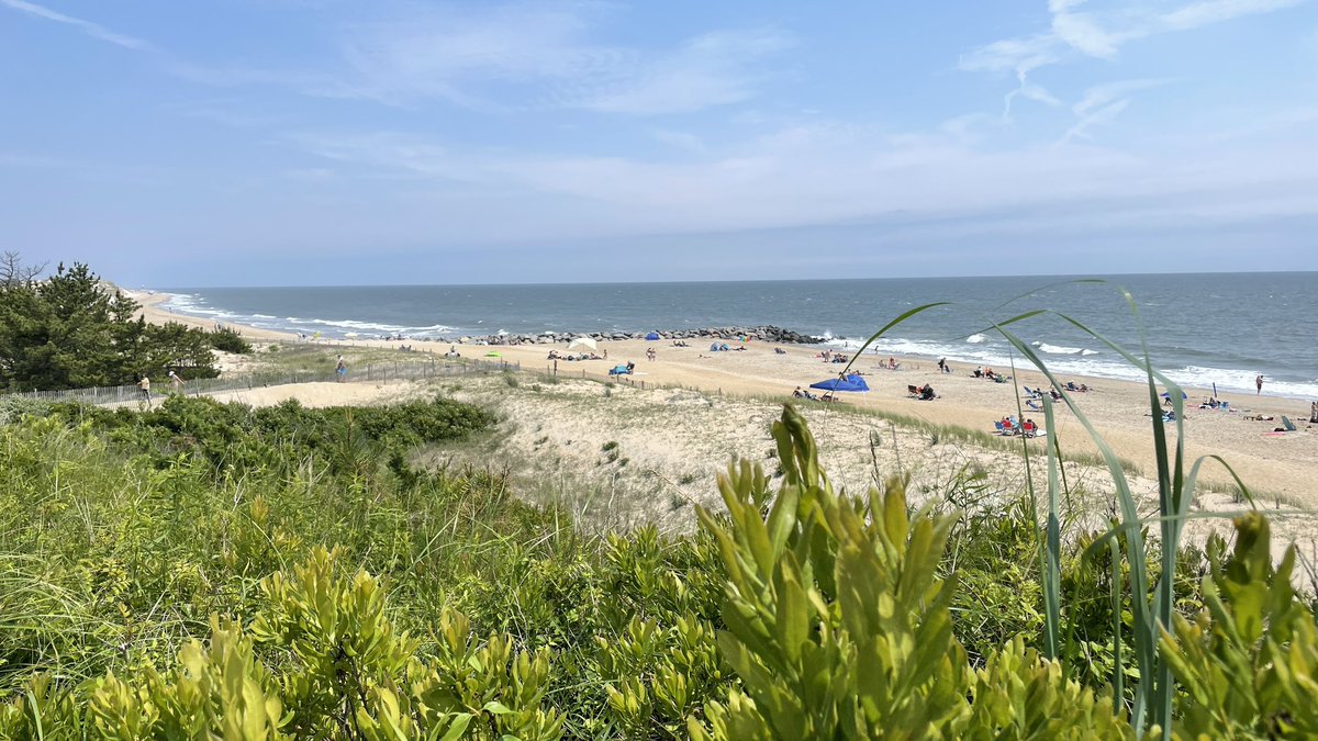 peppytechie's tweet photo. #coastsnapDEHerringPoint https://t.co/lnYfqBReR8