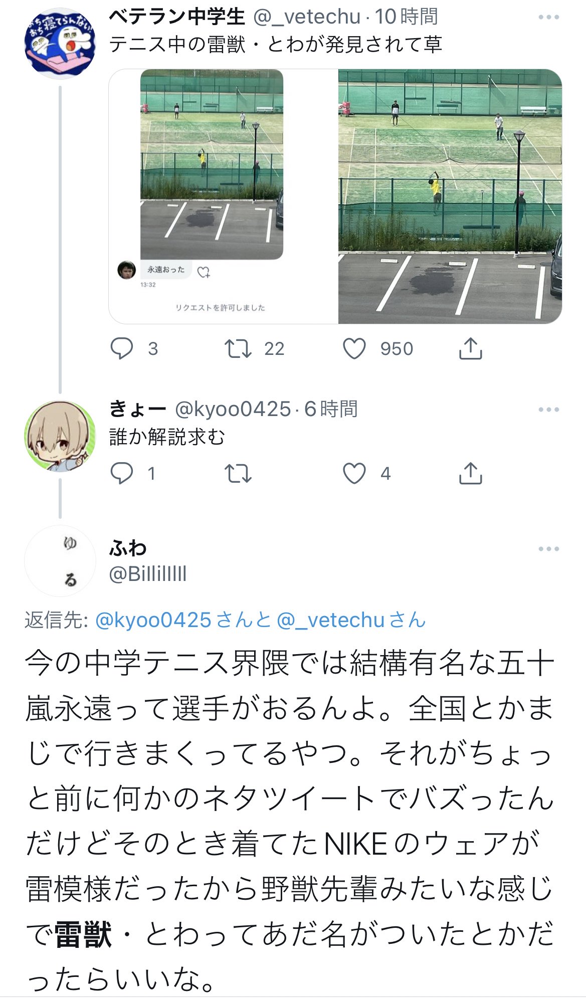 かべ 雷獣 全然ちがいますよ T Co V6sryjoy6b Twitter