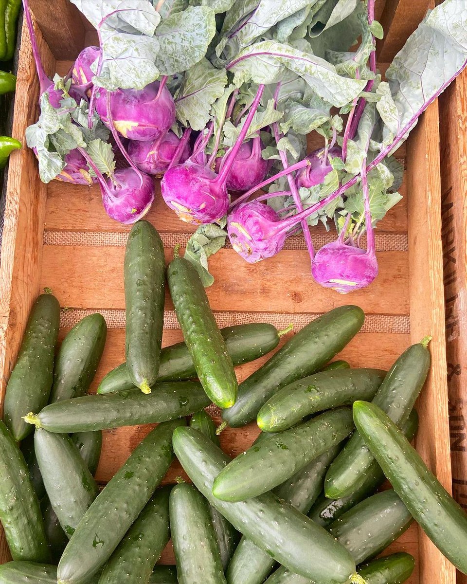 brookgreen_mk's tweet photo. Summer is here! Fresh produce at Brook Green Market is absolutely gorgeous at this time of year, and each week there’s something new in season to get excited about. More flavour, more nutrients and a longer shelf-life than anything you’ll find in the supermarkets. #brookgreen https://t.co/TRIM9QBlxt