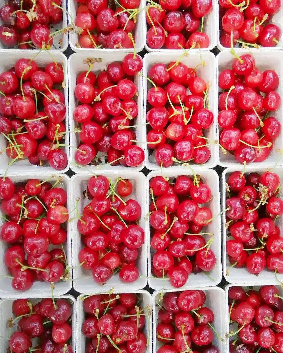 brookgreen_mk's tweet photo. Summer is here! Fresh produce at Brook Green Market is absolutely gorgeous at this time of year, and each week there’s something new in season to get excited about. More flavour, more nutrients and a longer shelf-life than anything you’ll find in the supermarkets. #brookgreen https://t.co/TRIM9QBlxt
