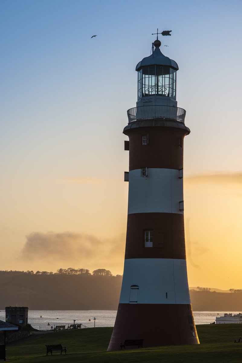 Zedify Plymouth tweet media