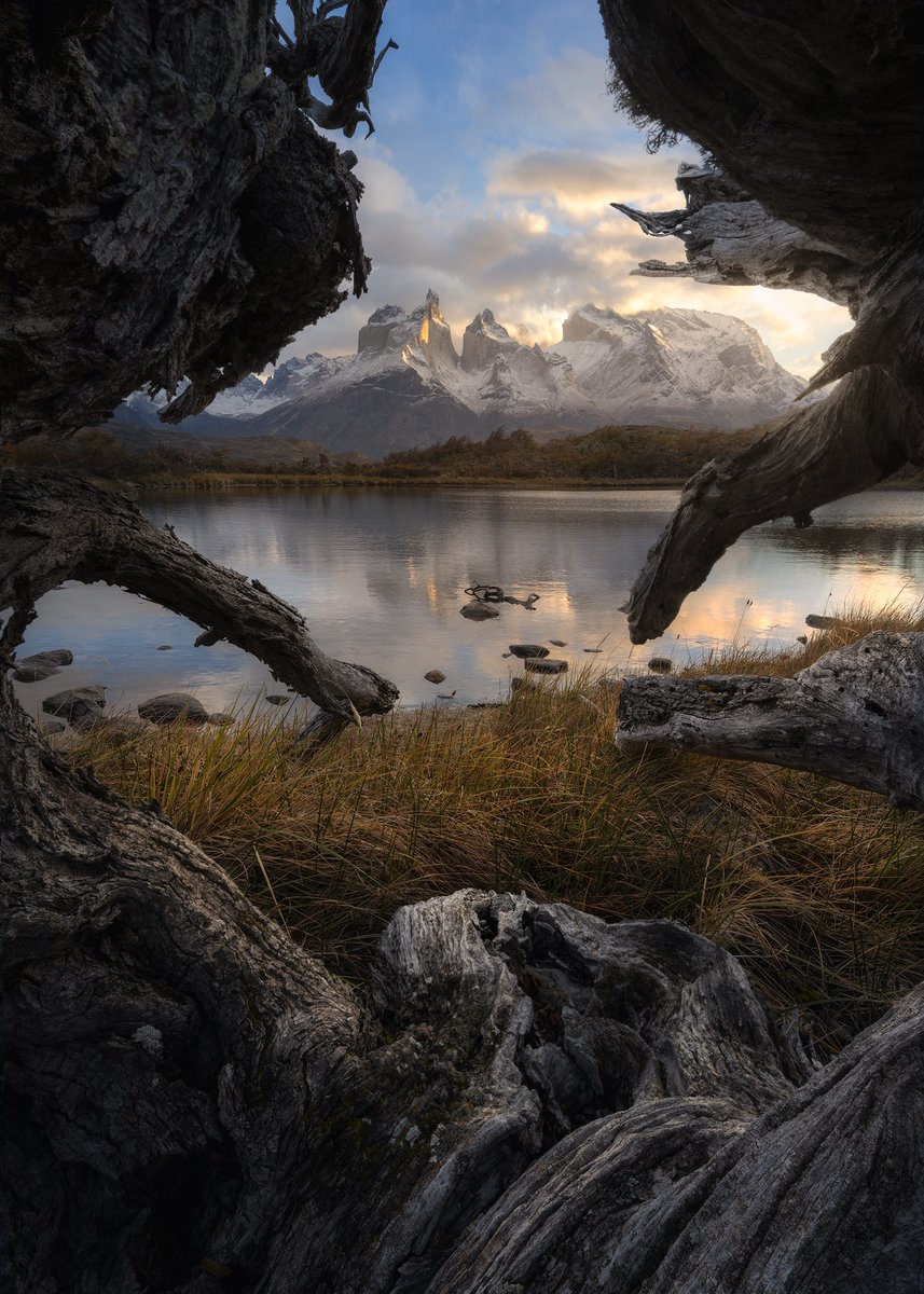 mattymeis's tweet photo. Some tree branches and mountains #Patagonia #torresdelpaine #nikon https://t.co/Kfl7BvdMce