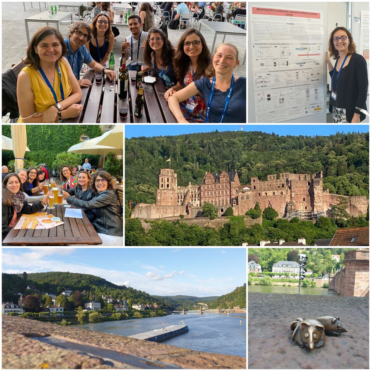 Thank you <a href="/EMBO/">EMBO</a> <a href="/embl/">EMBL</a> for the organisation of such a great #EESMetastasis...4 days of top science, ideas, inspiration, feedback and beers with great colleagues <a href="/amaia_cipitria/">Amaia Cipitria</a> <a href="/MariaCaffarel/">Maria M Caffarel</a> <a href="/TCeliaTerrassa/">Toni Celia-Terrassa</a> <a href="/SarahAEYoung/">Dr. Sarah Young</a> <a href="/DrQVM/">Queralt Vallmajó Martín</a> <a href="/IPerezNunez/">Iván Pérez</a> <a href="/palomabragado/">paloma bragado </a> + no-twitter ones😉