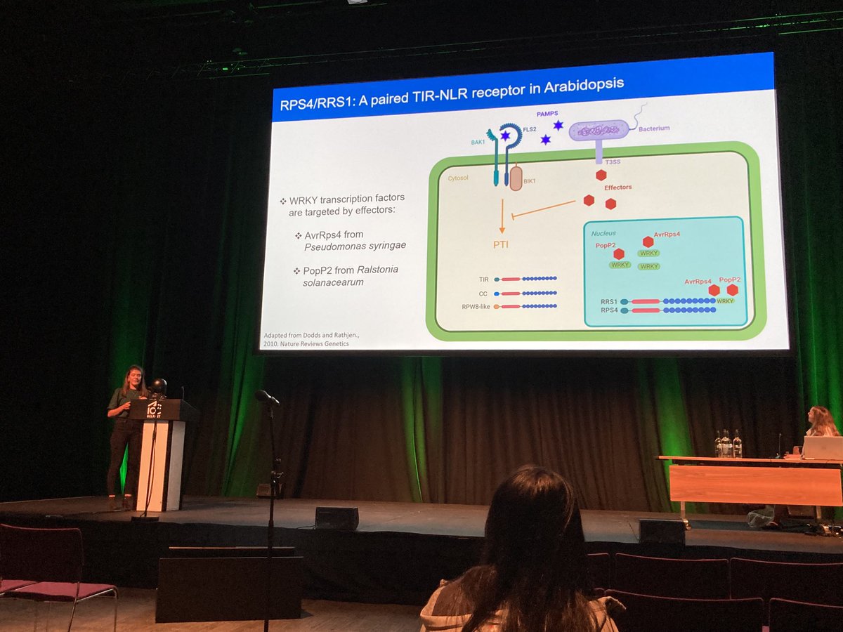 Frank Menke (@frank_menke) on Twitter photo <a href="/SophieL_Johnson/">Sophie Johnson</a> presenting her PhD project on ETI signaling using quantitative #proteomics at <a href="/TheSainsburyLab/">The Sainsbury Laboratory</a> with <a href="/jonathandgjones/">Jonathan D G Jones</a> and <a href="/TheSainsburyLab/">The Sainsbury Laboratory</a> #proteomics team #ICAR2022 <a href="/SophieL_Johnson/">Sophie Johnson</a> presenting her PhD project on ETI signaling using quantitative #proteomics at <a href="/TheSainsburyLab/">The Sainsbury Laboratory</a> with <a href="/jonathandgjones/">Jonathan D G Jones</a> and <a href="/TheSainsburyLab/">The Sainsbury Laboratory</a> #proteomics team #ICAR2022