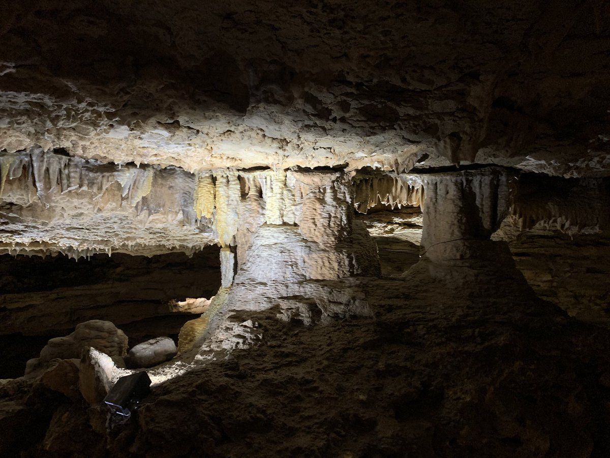 Self_Taught_Sci's tweet photo. Visited the largest known caverns in Texas! @NBCavernsTX 
🦇 The caverns were discovered in 1960 by college students!
🦇 The temperature in the cave is 70° and 99% humidity 
🦇 All speleothems (formations) in the cave are made of calcite! 
#ScienceSummer https://t.co/FKL2oqSW2e