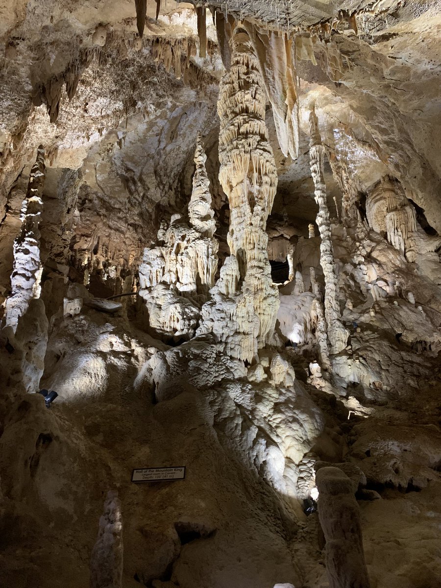 Self_Taught_Sci's tweet photo. Visited the largest known caverns in Texas! @NBCavernsTX 
🦇 The caverns were discovered in 1960 by college students!
🦇 The temperature in the cave is 70° and 99% humidity 
🦇 All speleothems (formations) in the cave are made of calcite! 
#ScienceSummer https://t.co/FKL2oqSW2e