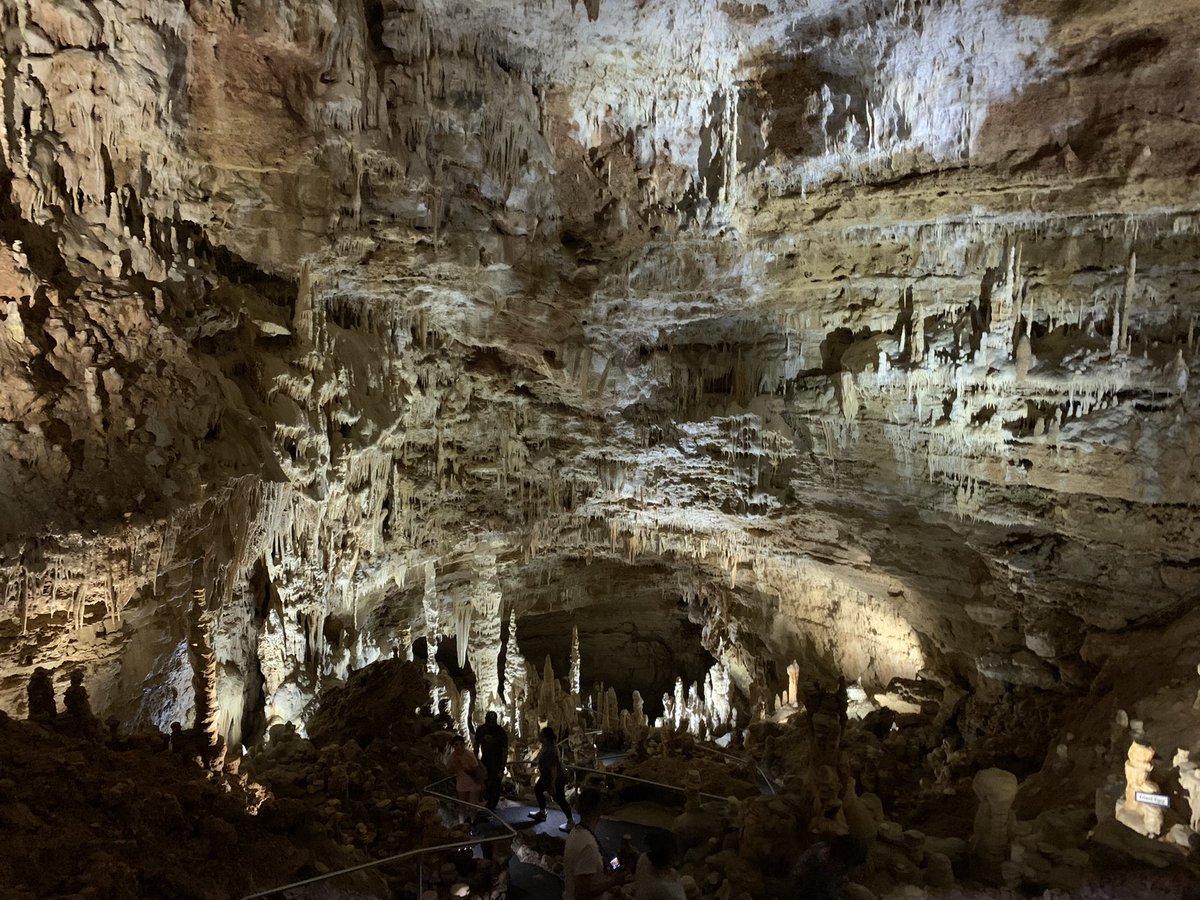 Self_Taught_Sci's tweet photo. Visited the largest known caverns in Texas! @NBCavernsTX 
🦇 The caverns were discovered in 1960 by college students!
🦇 The temperature in the cave is 70° and 99% humidity 
🦇 All speleothems (formations) in the cave are made of calcite! 
#ScienceSummer https://t.co/FKL2oqSW2e