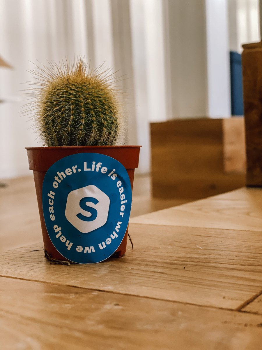 Studydrive tweet media