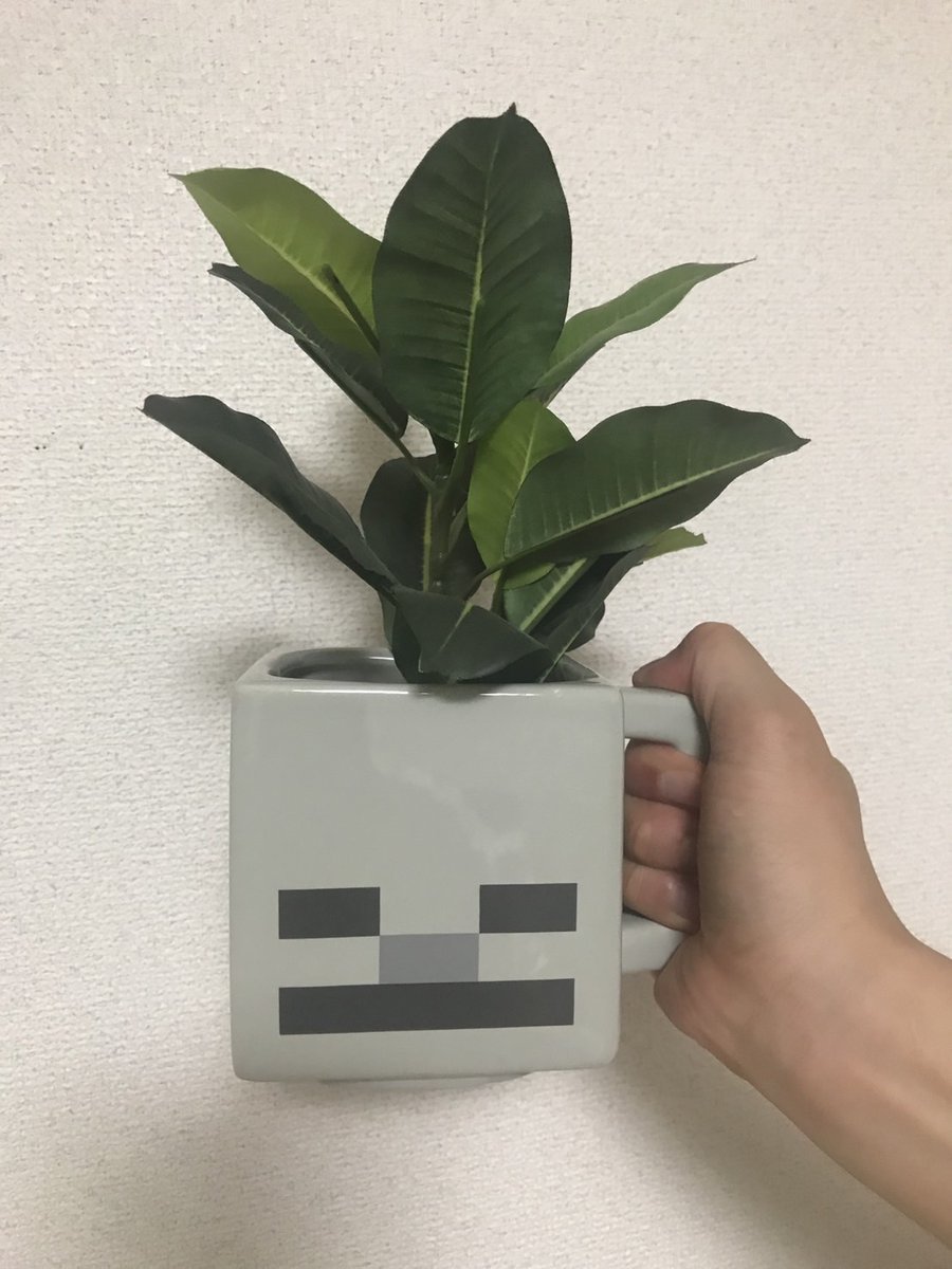 Yoshi38 Minecraft Virtual Creators Summit 22の参加ギフトとしてmicrosoftから頂きました 0個限定で配布された限定グッズらしいです マグカップらしいけど多分こっちの方が正しい使い方な気がする Minecraft マインクラフト T Co